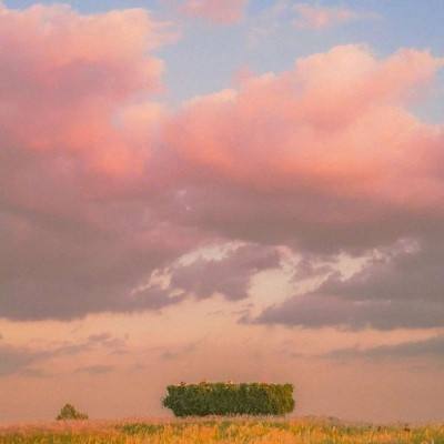 722cc大发彩神手机app下载